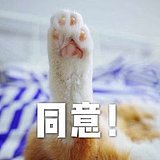 红尘有幸的头像