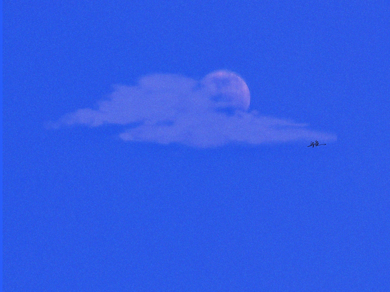 早期摄影作品（图ZMzAwODU4NDky） - 风光摄影 - 站酷设计师柒鱼酱原创素材 - 站酷ZCOOL