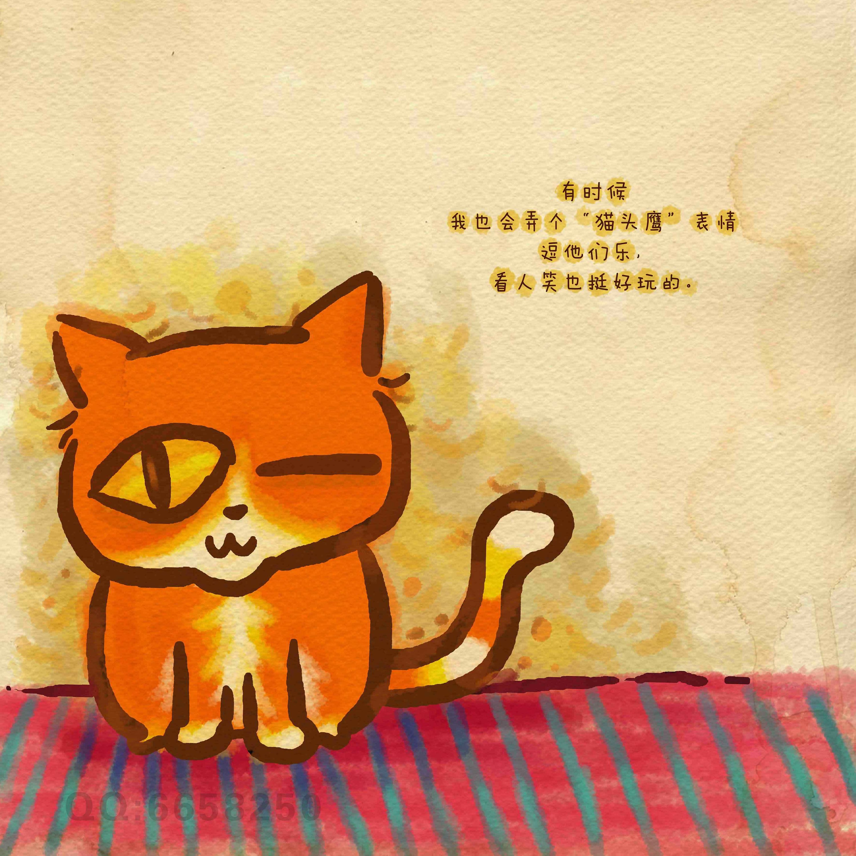 《猫言猫语3》已上市，谢谢支持！|插画|商业插画|喵肥家旺 - 原创作品 - 站酷 (ZCOOL)