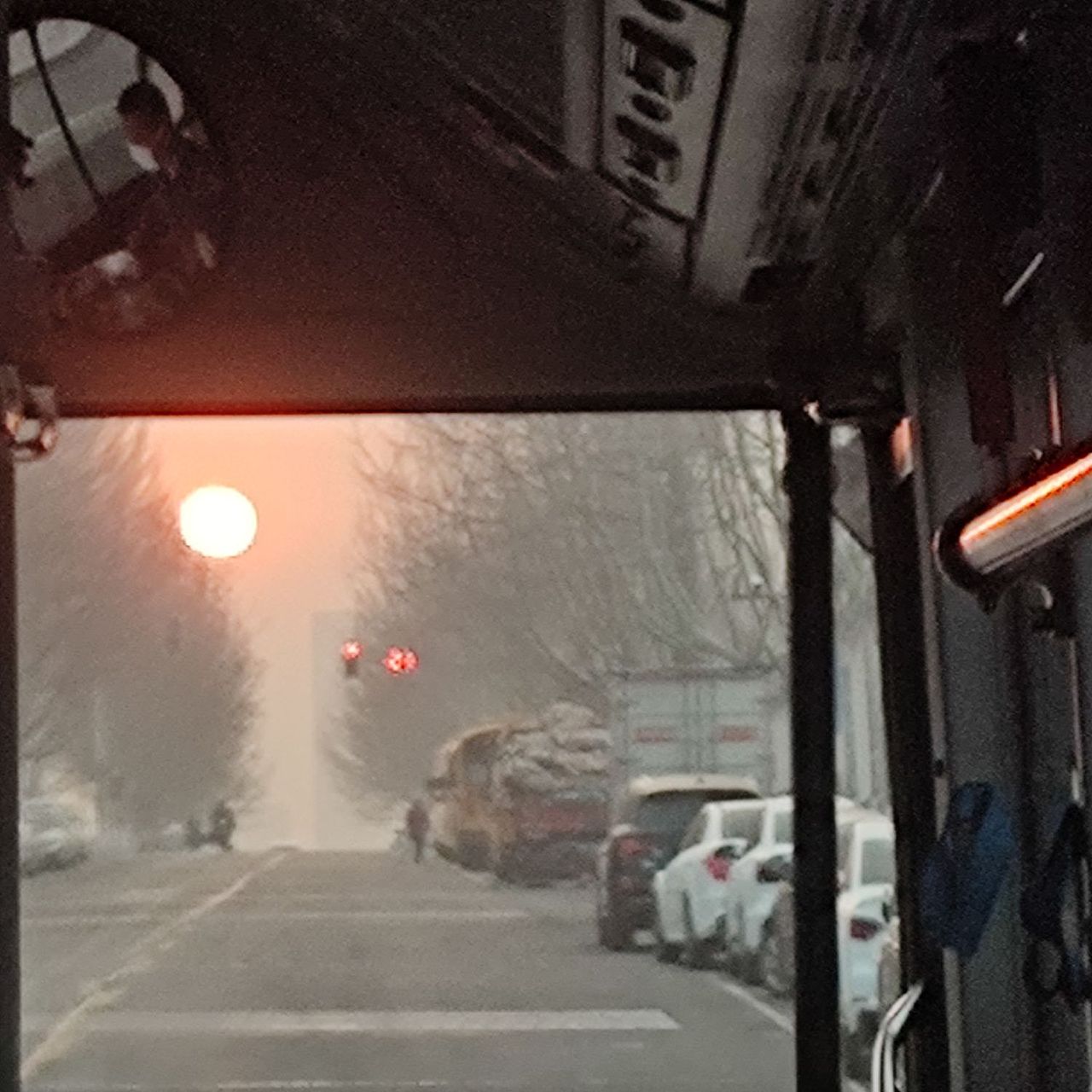 捕捉春天的第一瞬间