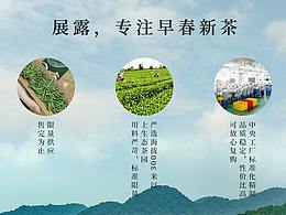 茶