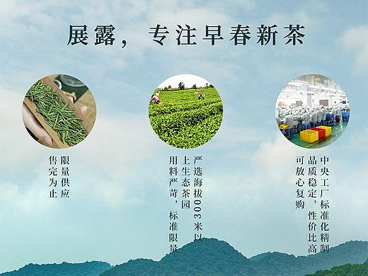 茶叶手机端首页设计
