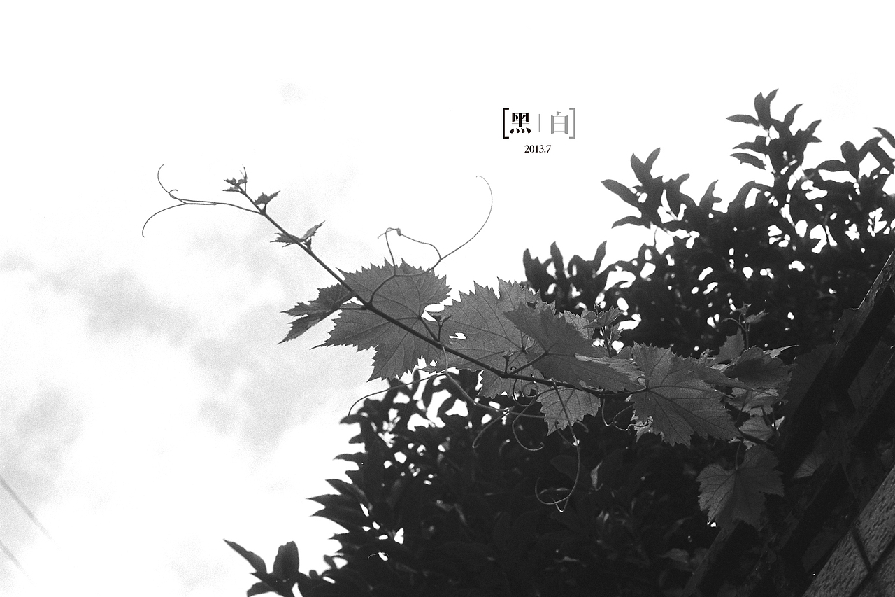 黑白胶片（图ZMjczMzg3NDQ=） - 风光摄影 - 站酷设计师tiaofangzi原创素材 - 站酷ZCOOL
