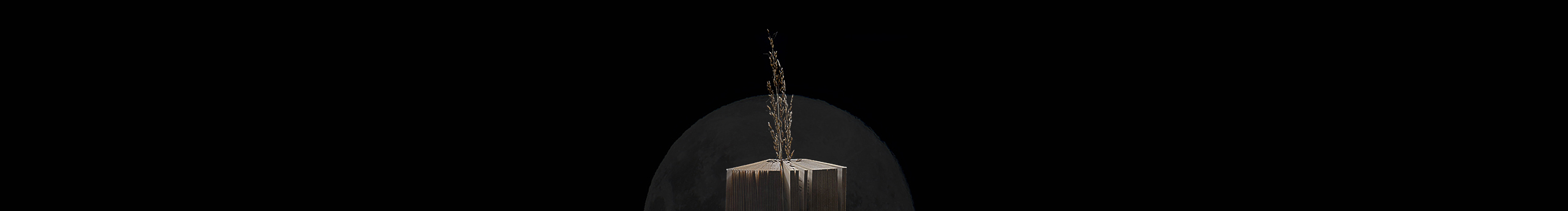 陸齊銘的個(gè)人主頁（封面預(yù)覽） - 主頁封面設(shè)置 - 站酷設(shè)計(jì)師陸齊銘原創(chuàng)素材 - 站酷ZCOOL