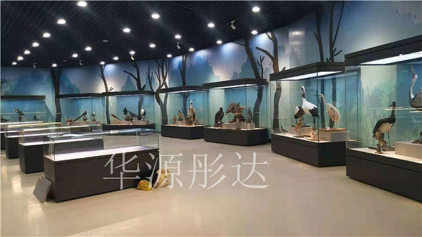 天津自然博物馆平柜-博物馆展柜设计制作-华源彤达