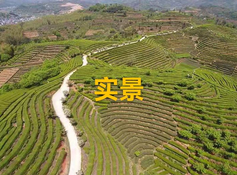 做鸟瞰，免费航拍勘测现场（图ZMjg2NDE5Mjg4） - 景观设计 - 站酷设计师清风设计学院原创素材 - 站酷ZCOOL