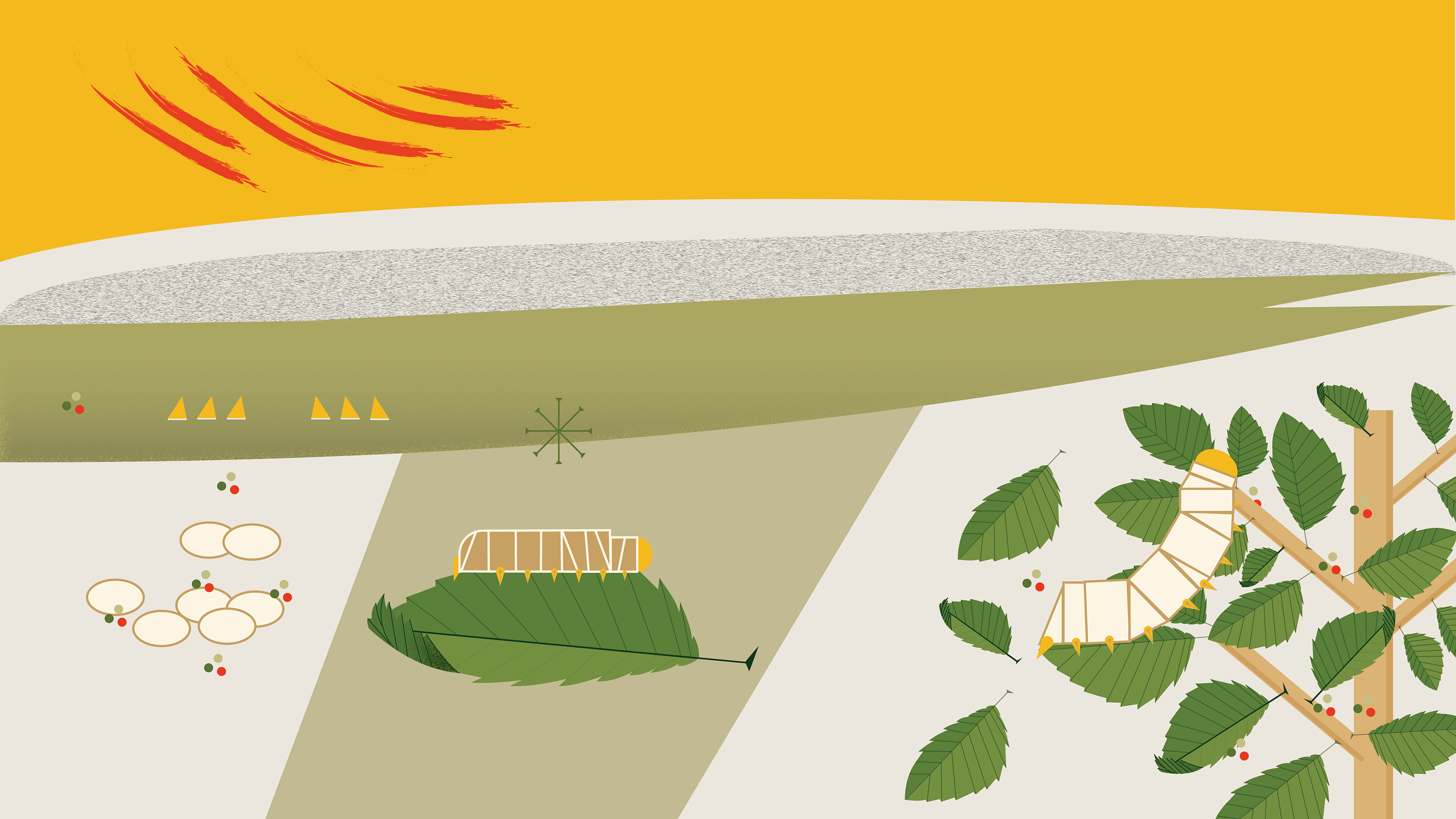 蚕系列|插画|商业插画|skylarli - 原创作品 - 站酷 (zcool)