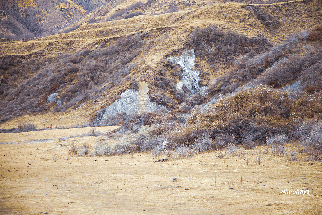 为你看尽千山雪 为你挡众神旨意