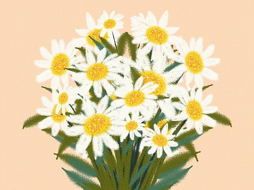 手棒花插画~