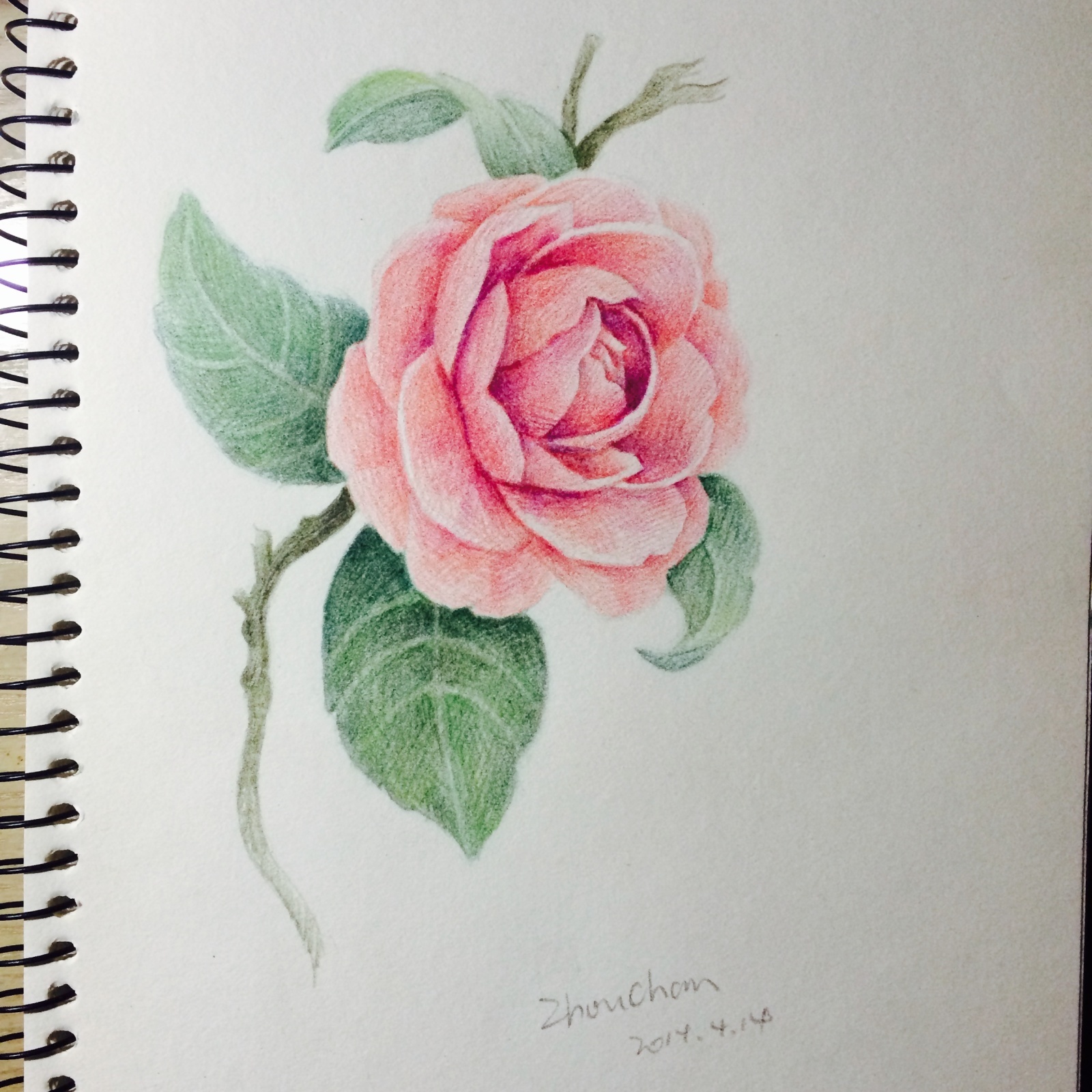 周小馋的 彩色铅笔 彩铅画,人生第一张,纪念下.