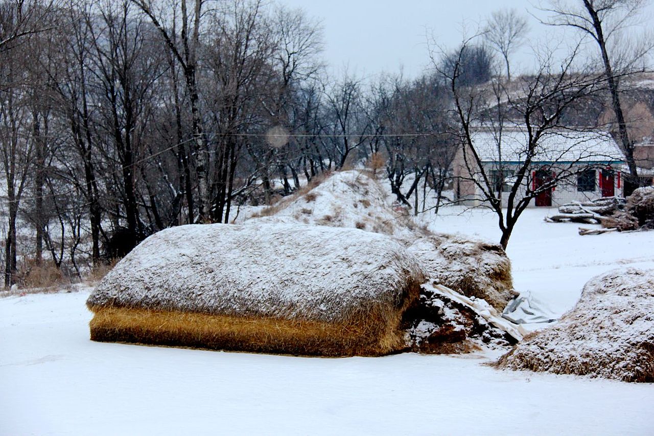 日暮苍山远天寒白屋贫柴门闻犬吠风雪夜归人