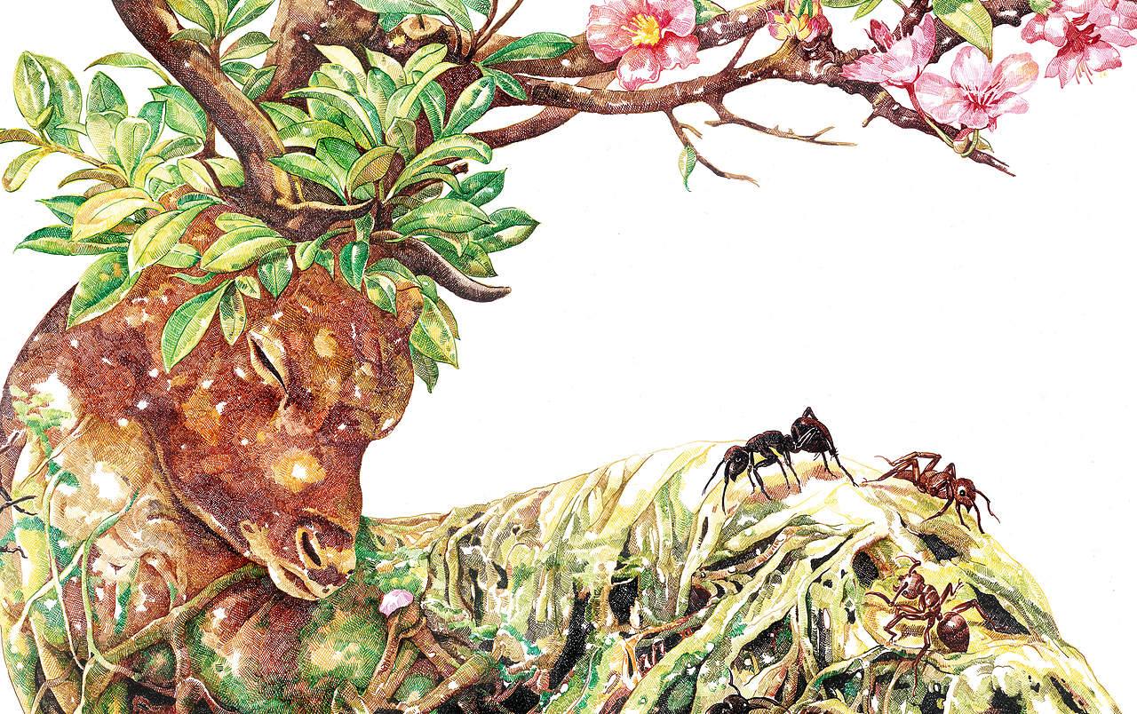 春-暗香 Spring Fragrance 120x90cm 布面丙烯 2016（图ZNTE1Mzg1MjA=） - 绘画 - 站酷设计师赵娜Artist原创素材 - 站酷ZCOOL