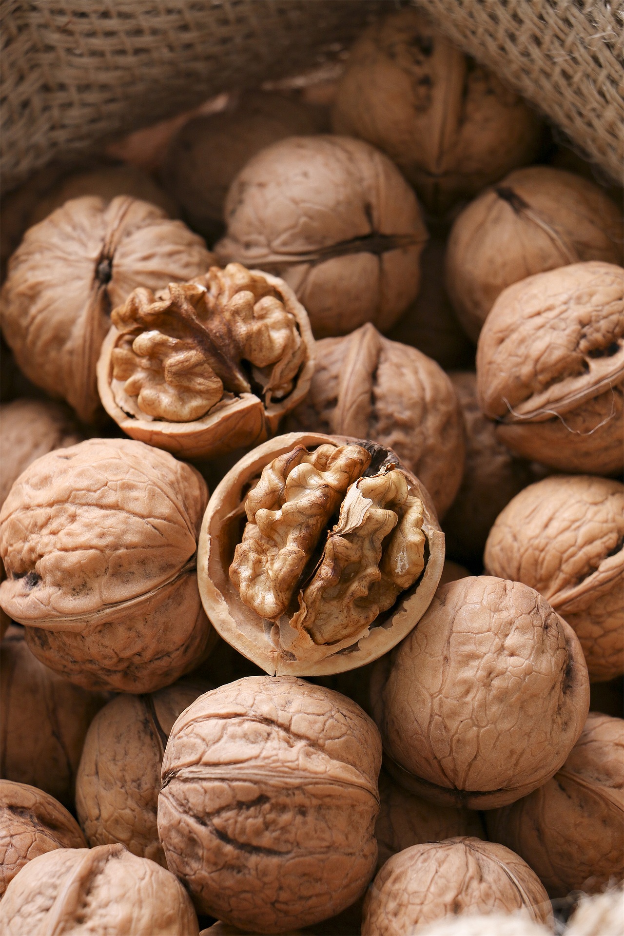 美食摄影丨老树核桃山核桃厚皮核桃