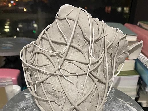 请你也给我一颗一万年的心脏