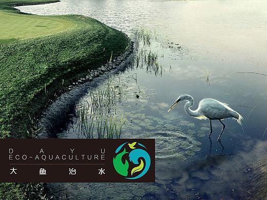 大鱼治水logo设计（已商用）