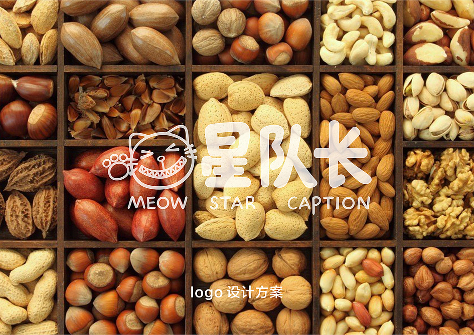 给一坚果品牌做的一个LOGO提案