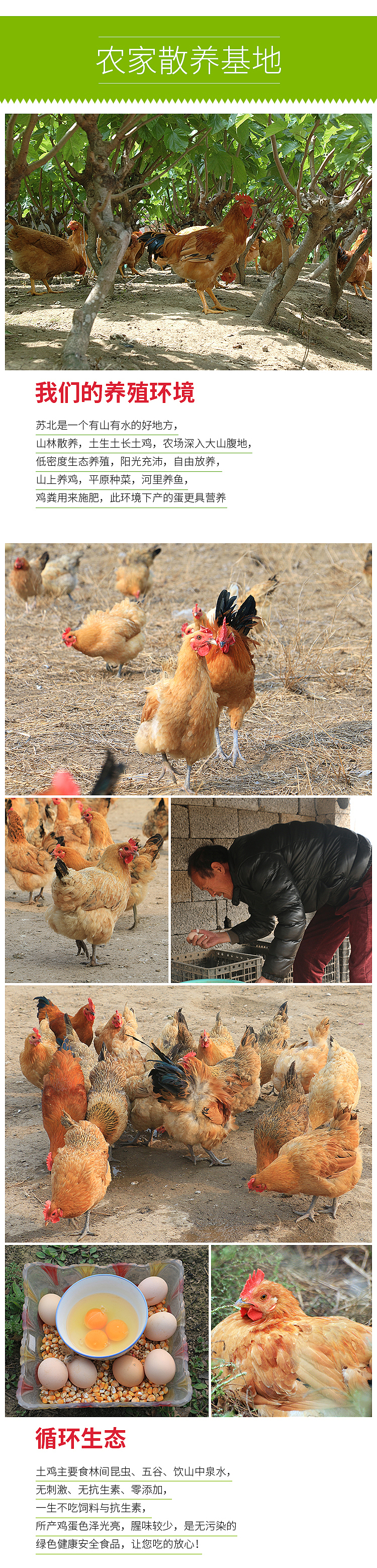 土鸡蛋鸭蛋鹅蛋禽蛋休闲食品零食养生特产农产品详情页首页设计店铺装修（图ZODQwMzU3MjQ=） - 电商 - 站酷设计师cofuns原创素材 - 站酷ZCOOL