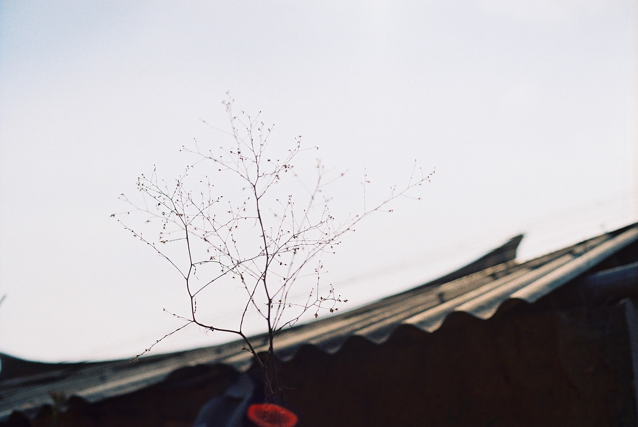 那些被遗忘的街角