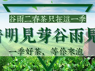 茶叶banner4（个人主页-ZNDU4MDE4OTY=） - 宣传物料 - 站酷设计师向惠源原创素材 - 站酷ZCOOL