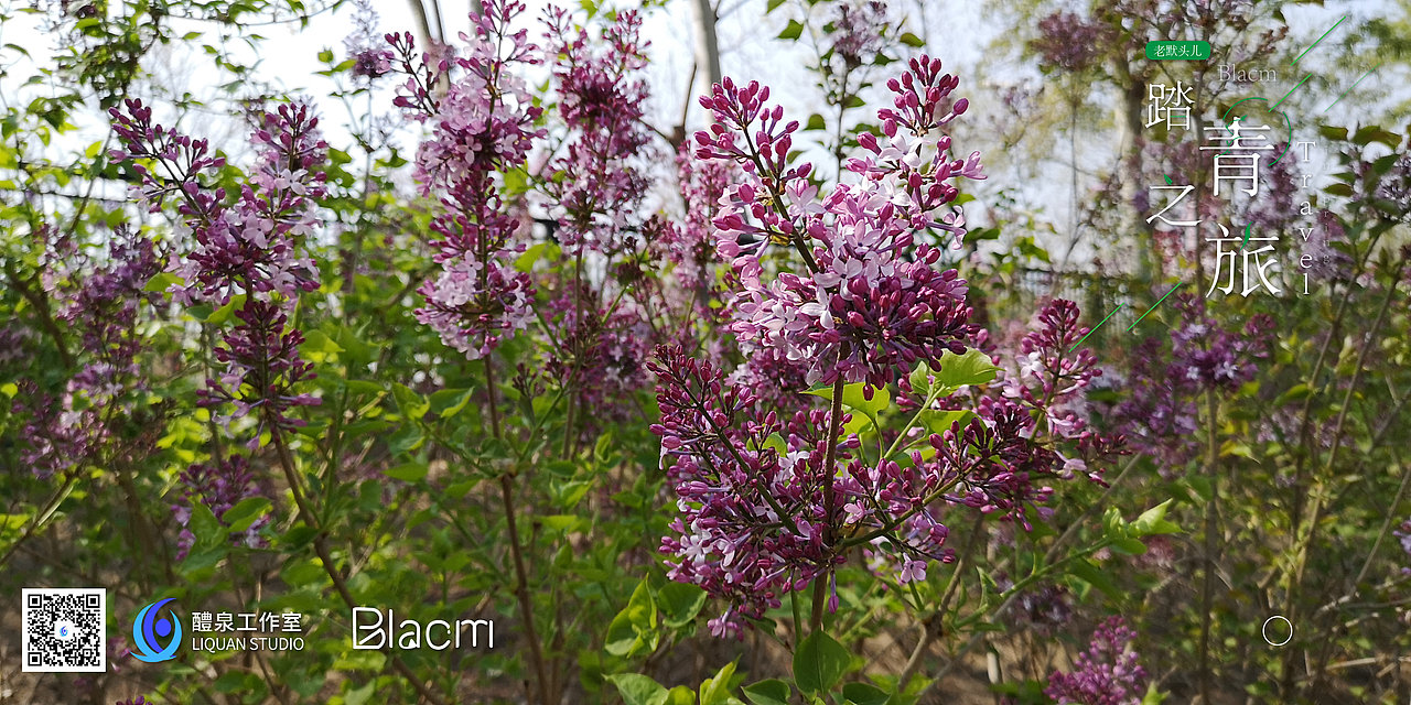 Blacm的踏春之旅（图ZMjA0NTIyMzg4） - 风光摄影 - 站酷设计师Blacm原创素材 - 站酷ZCOOL