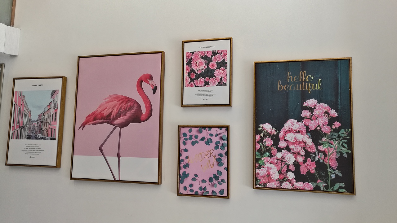 火烈鸟主题洗衣店VIS设计