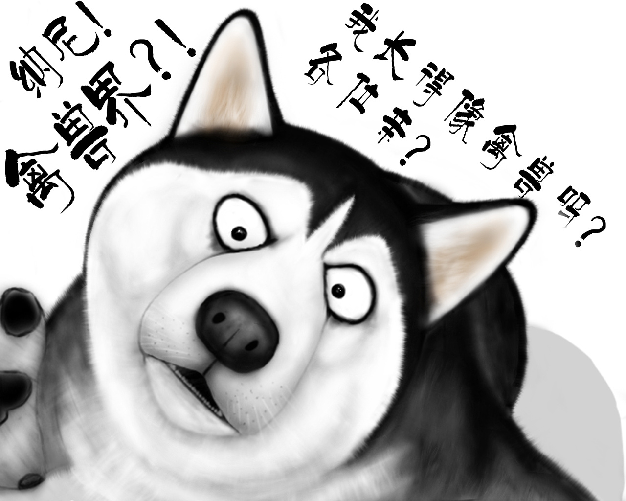 柴犬and二哈|插画|儿童插画|XXL_1999 - 原创作品 - 站酷 (ZCOOL)