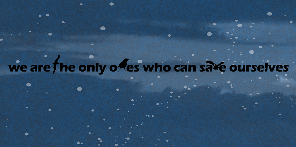 The Conference of birds（图ZMTg2ODI1NDEy） - 书籍/画册 - 站酷设计师奥莉维娅原创素材 - 站酷ZCOOL