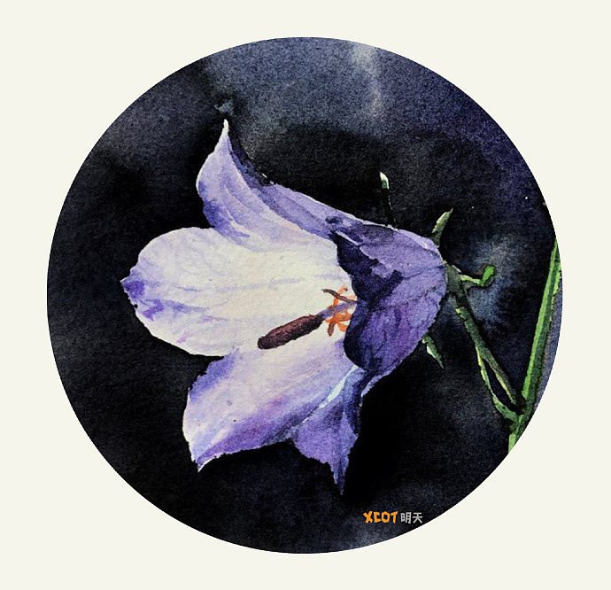 花卉圆图分享（图ZMTEzODc2MDA4） - 创作习作 - 站酷设计师明天教室原创素材 - 站酷ZCOOL