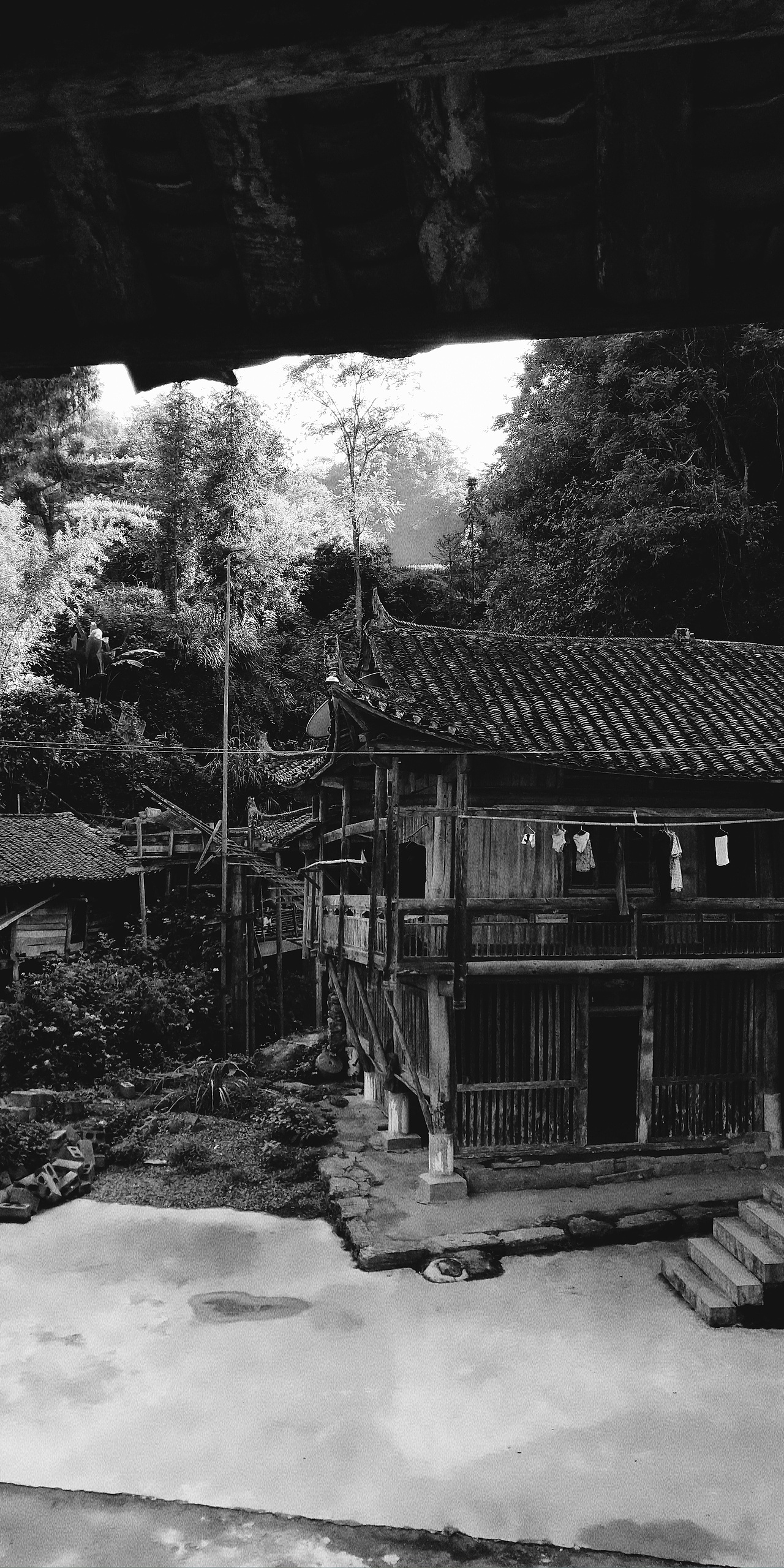 第五十六集 焱琳浩文艺术 田浩文画画日记