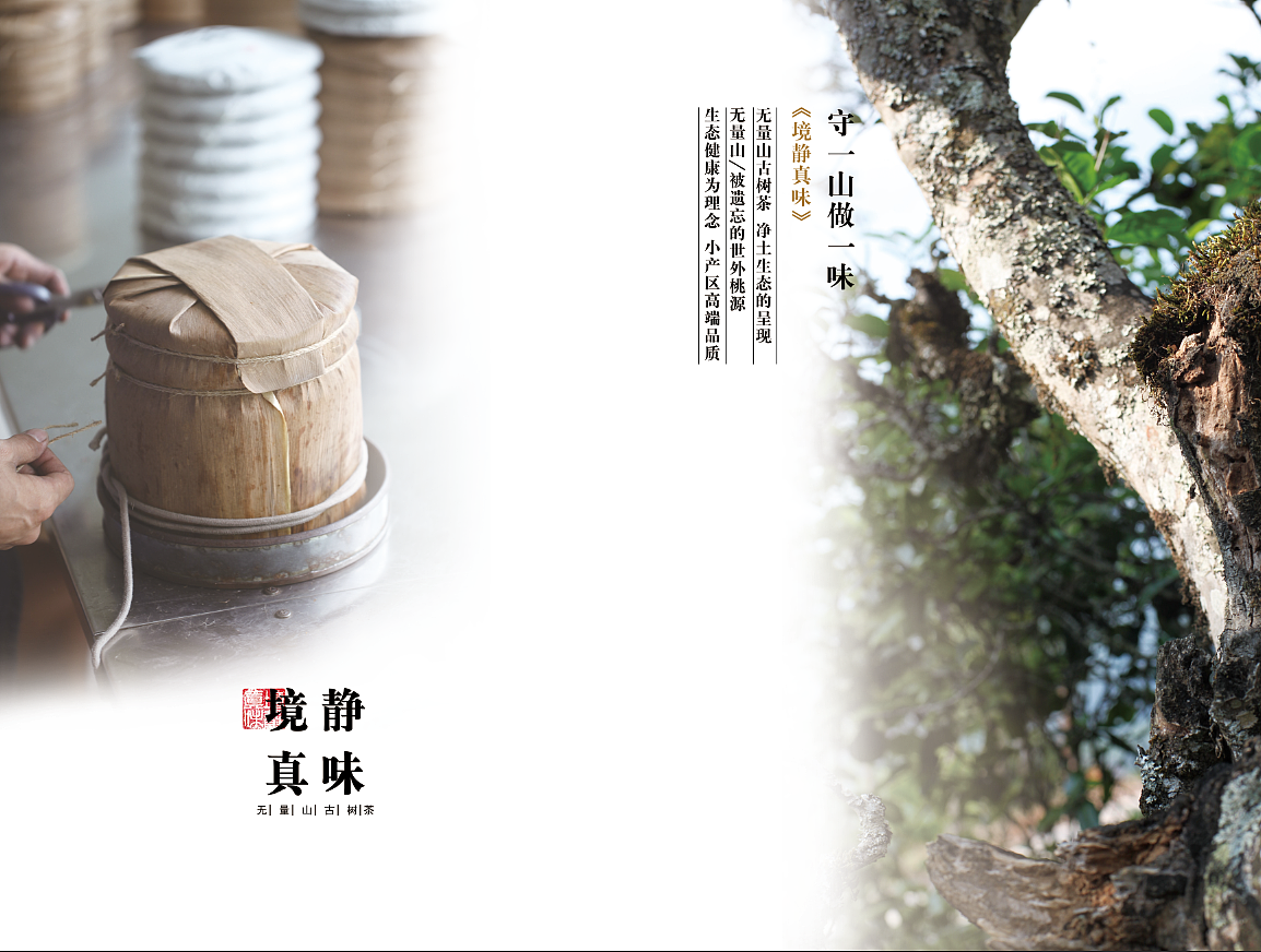 普洱茶宣传册部分设计