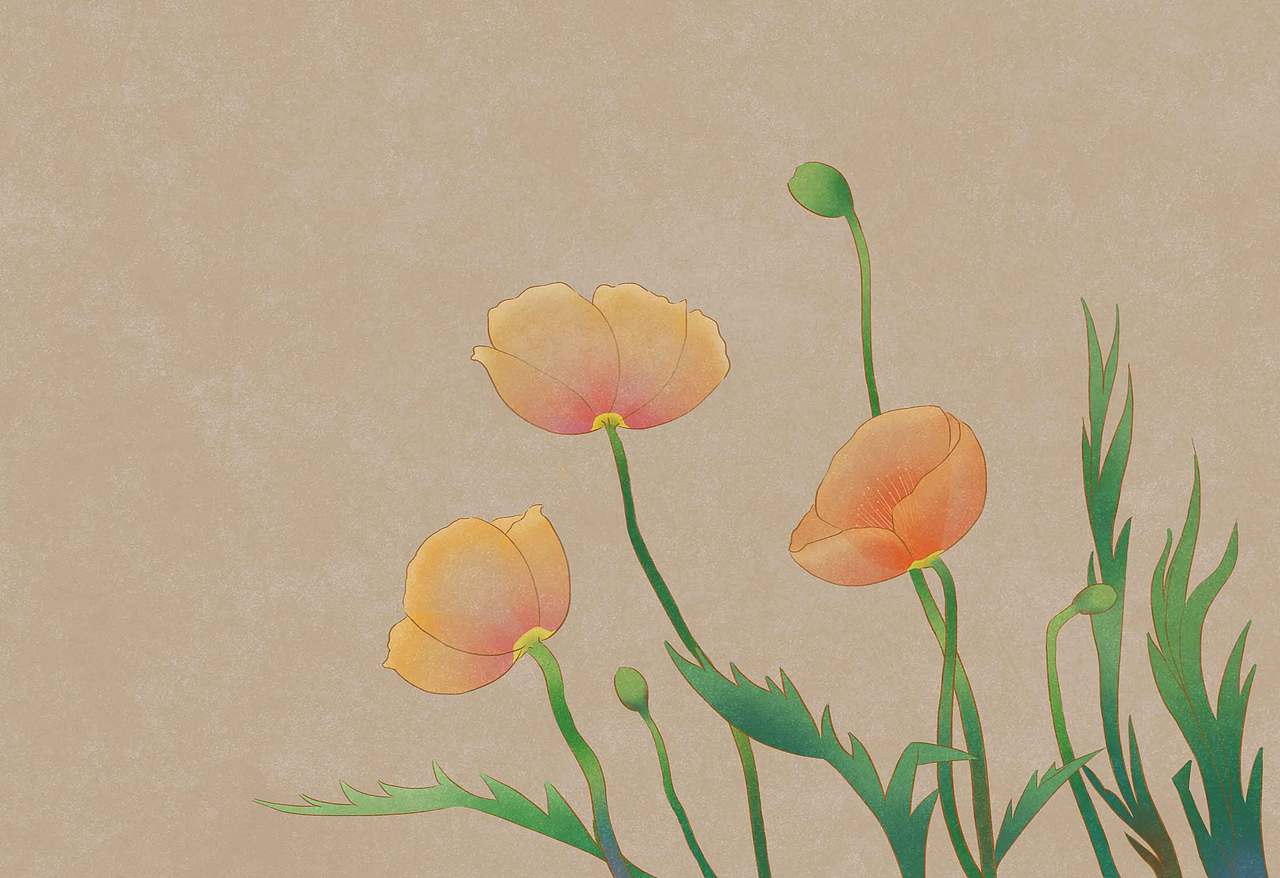 國風(fēng)工筆畫花卉紫藤花蘭花虞美人（圖ZMjk3MjE5OTMy） - 創(chuàng)作習(xí)作 - 站酷設(shè)計(jì)師燎青麥原創(chuàng)素材 - 站酷ZCOOL