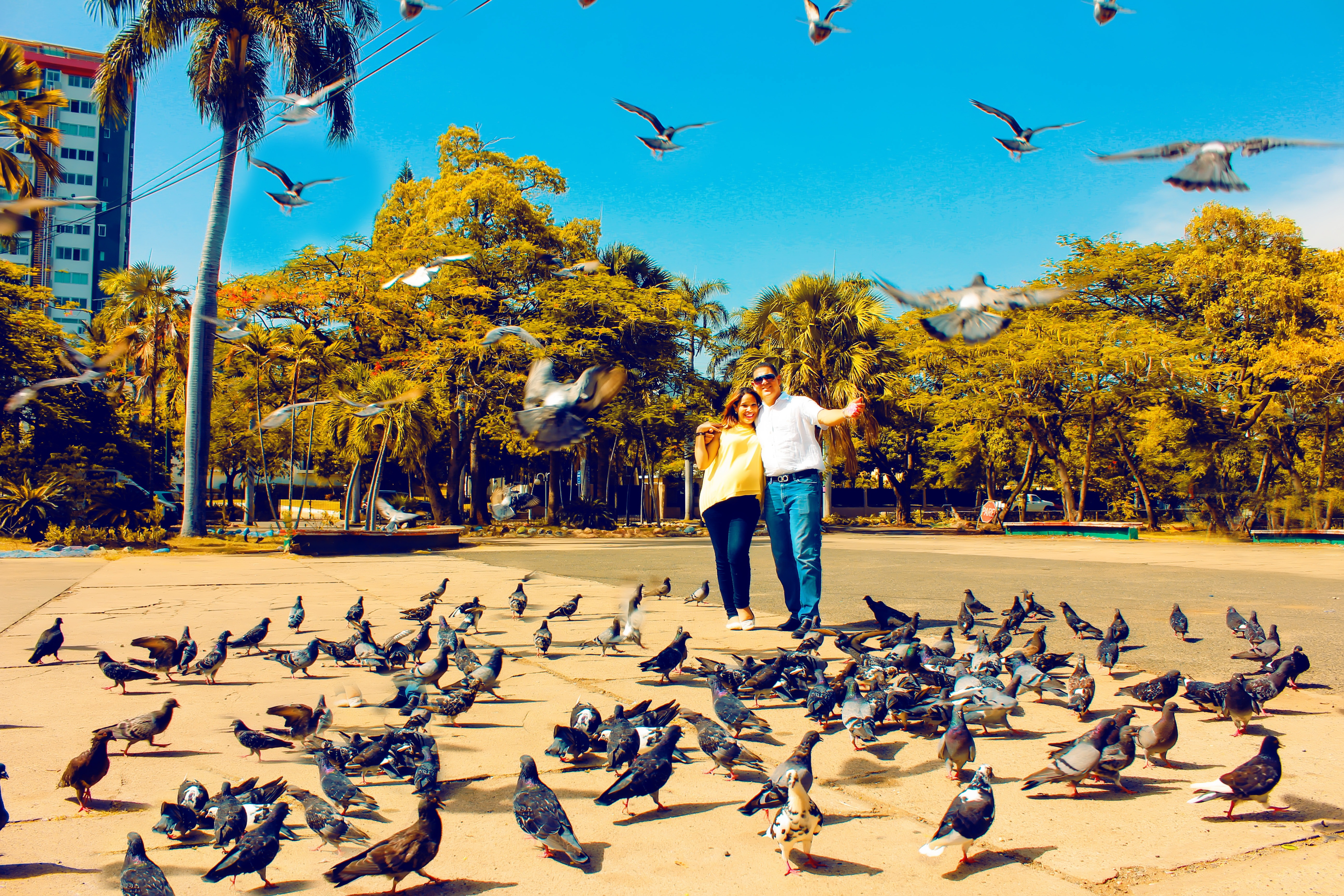 60招轻松玩转照片书09: 有关照片的几个细节问题