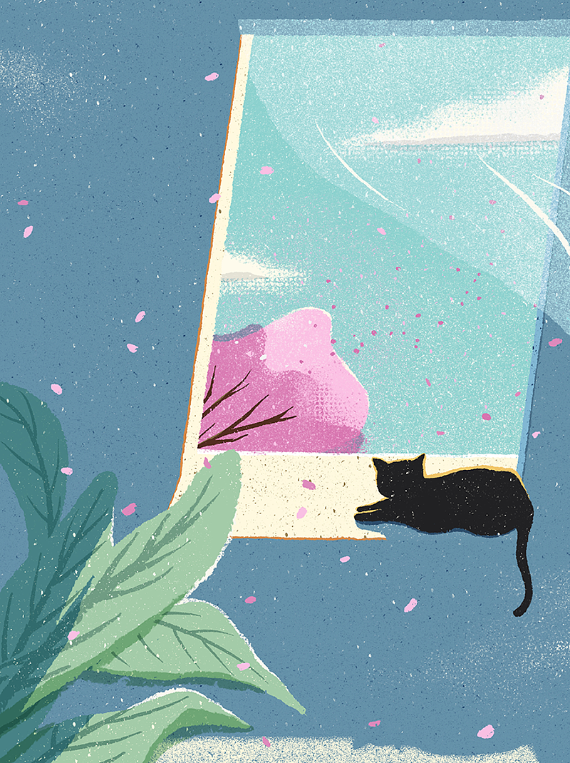 桜之岛（图ZMTMyNzk4ODk2） - 商业插画 - 站酷设计师Janne洁原创素材 - 站酷ZCOOL