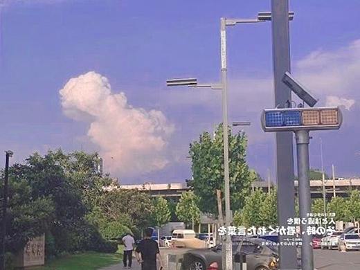 长春花蓝的浪漫
