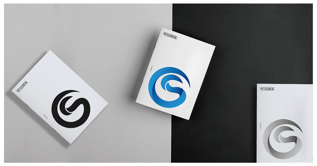 国盛金服 品牌设计