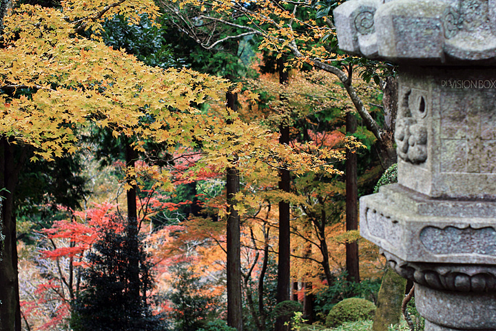 一路往东,拍在日本