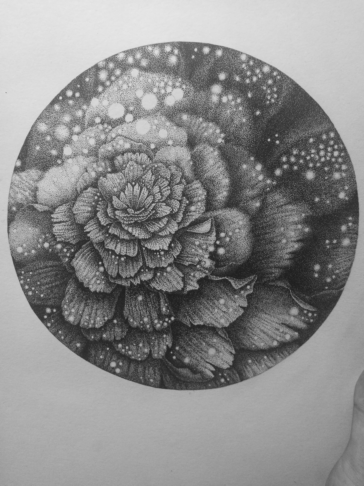 無名花（圖ZNzY3MDAyNjA=） - 創(chuàng)作習(xí)作 - 站酷設(shè)計(jì)師一盒火柴原創(chuàng)素材 - 站酷ZCOOL