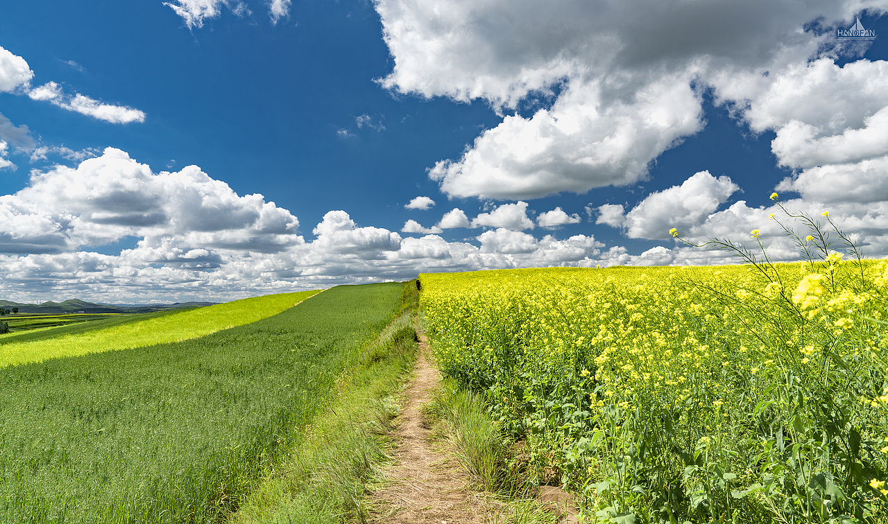 那年夏季的天空之路