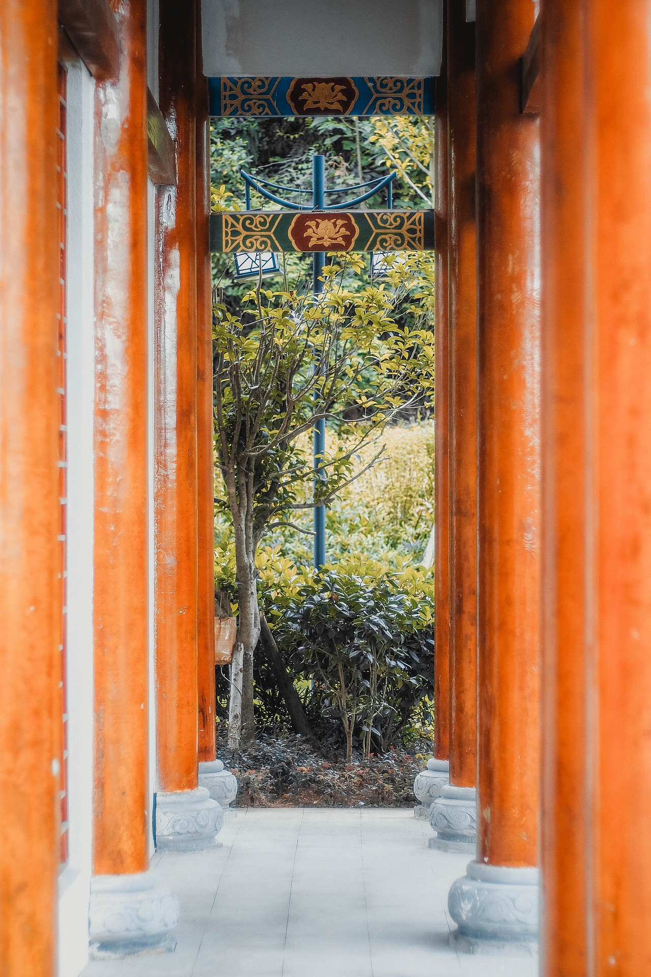 【时光贵州】白露已至·秋来临（图ZOTA4NDM2NjA=） - 风光摄影 - 站酷设计师设计师端阳原创素材 - 站酷ZCOOL
