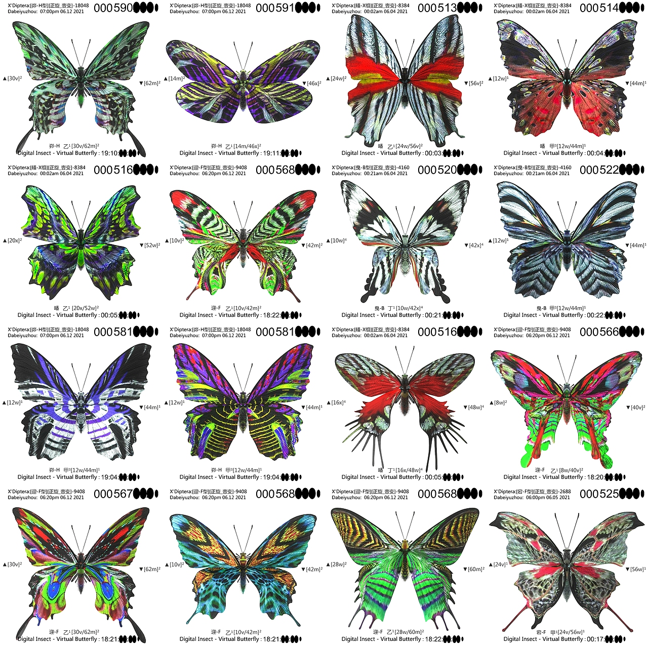 用互联之网捕捉虚拟蝴蝶
