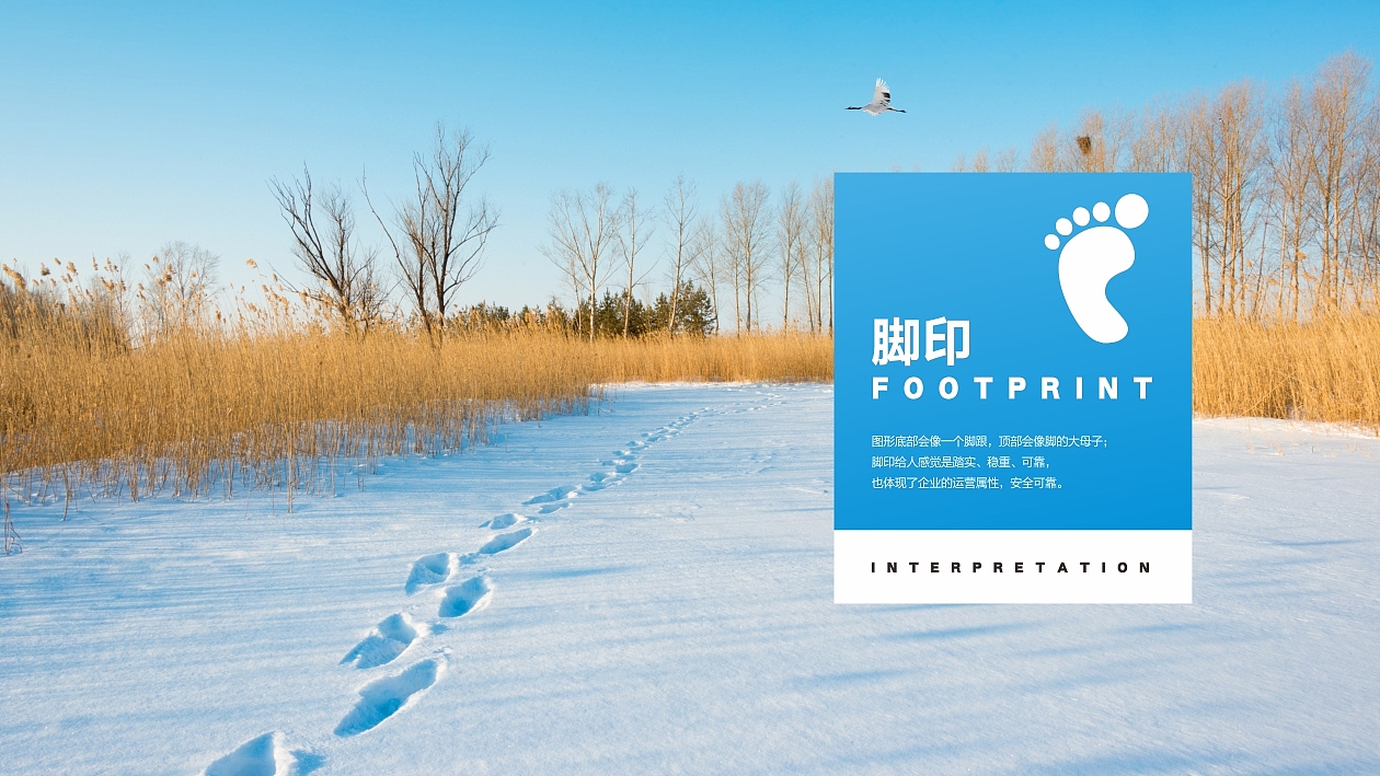 智筹科技-LOGO设计