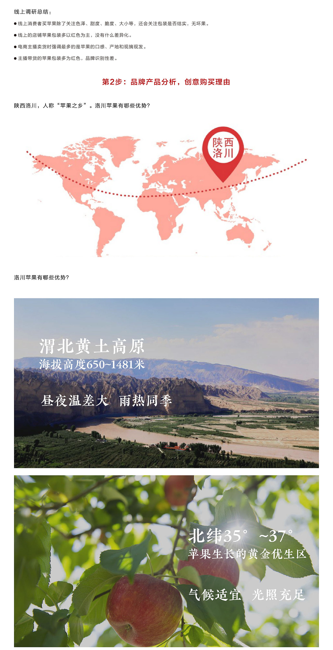 老东西16°8品牌全案服务（图ZMjQwMzA1NDg4） - 品牌 - 站酷设计师红动中国品牌策划原创素材 - 站酷ZCOOL