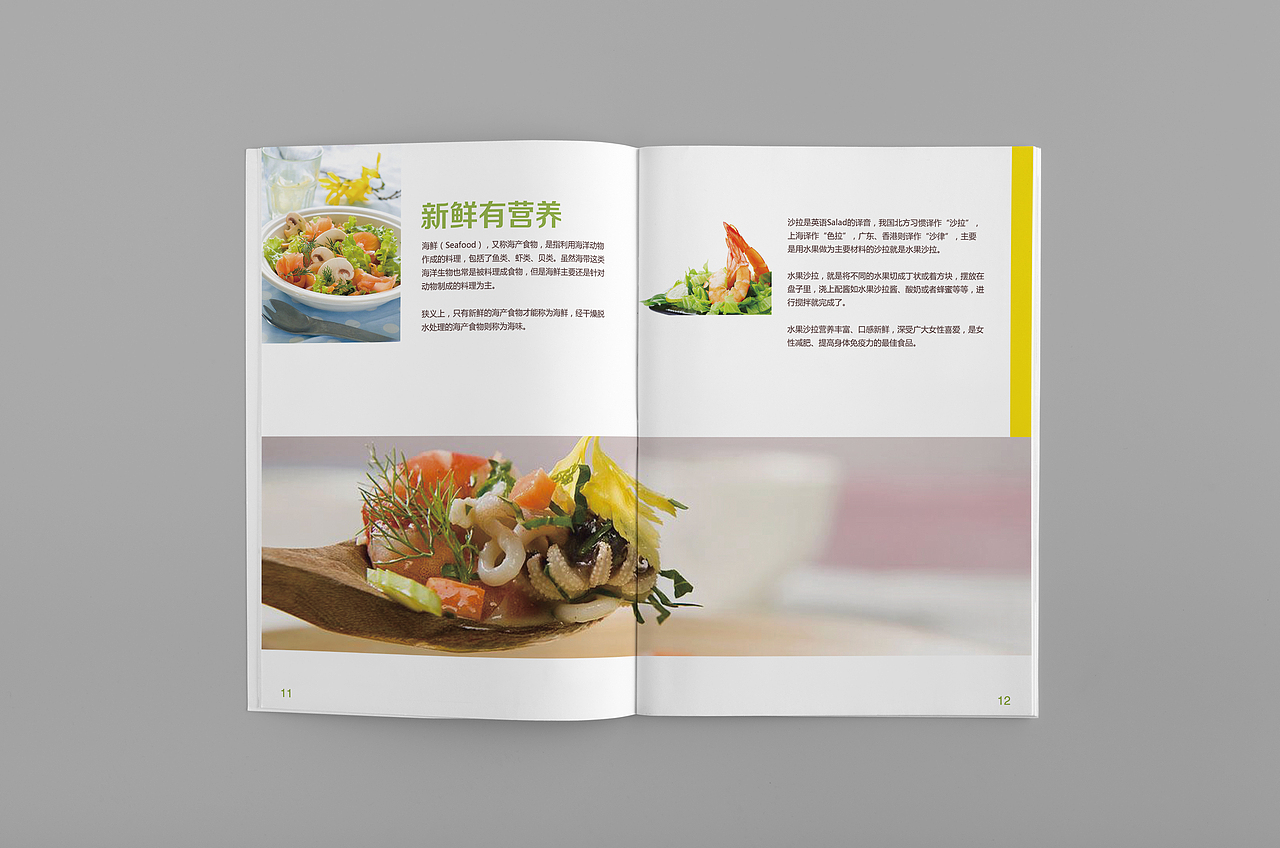 沙拉产品画册&（图ZMTI5MDM2NDEy） - 书籍/画册 - 站酷设计师壹时光鸡原创素材 - 站酷ZCOOL