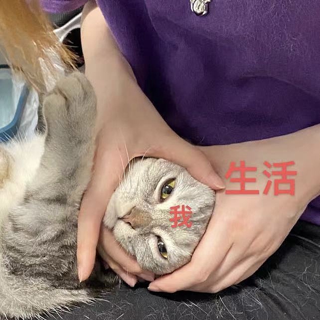 【Cat Ice Cream】| 徽章設(shè)計 | 貓咪冰淇淋（圖ZMjY0Nzk0NDAw） - 首飾設(shè)計 - 站酷設(shè)計師一羊少俠原創(chuàng)素材 - 站酷ZCOOL