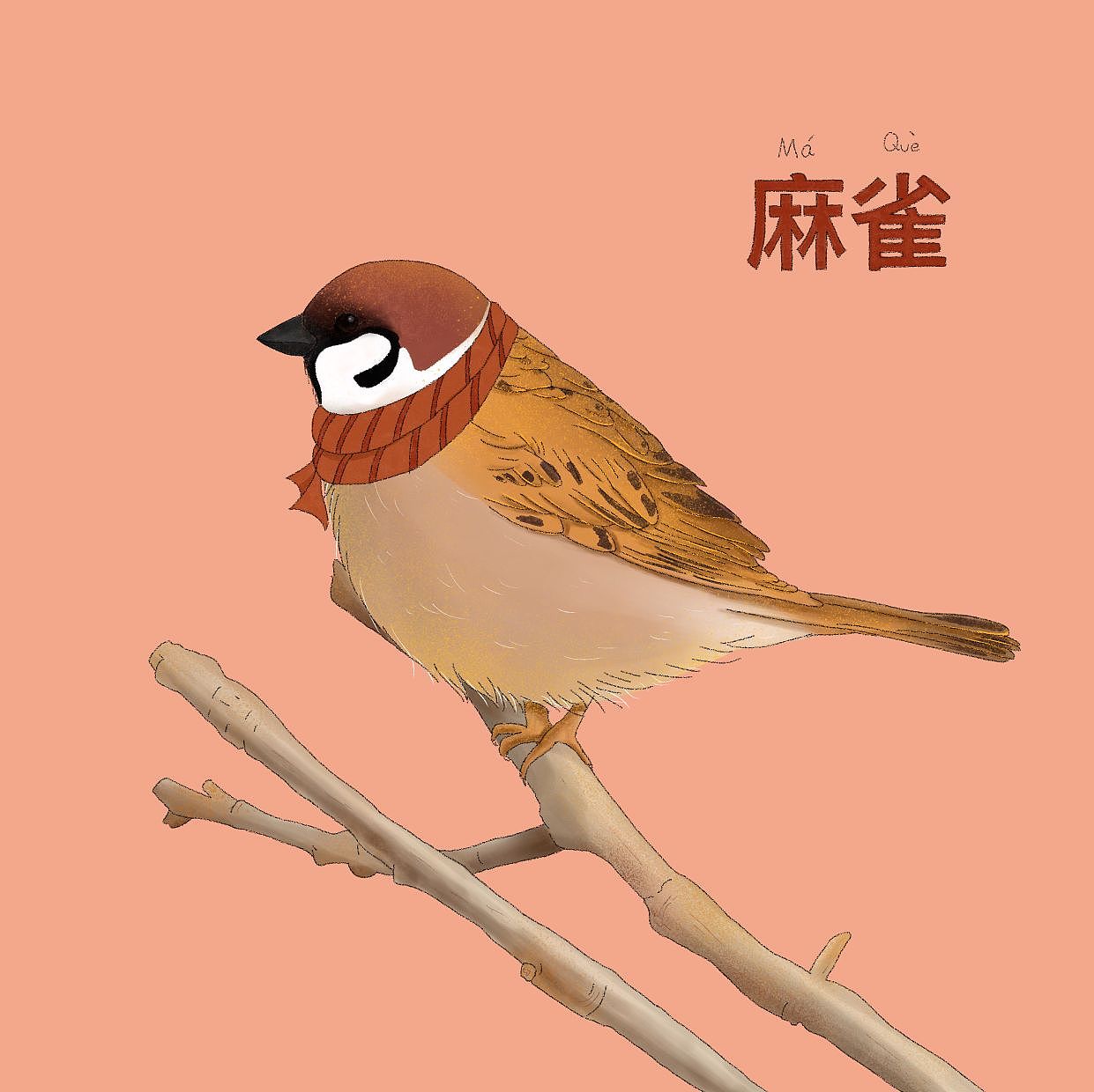 动植物主题插画