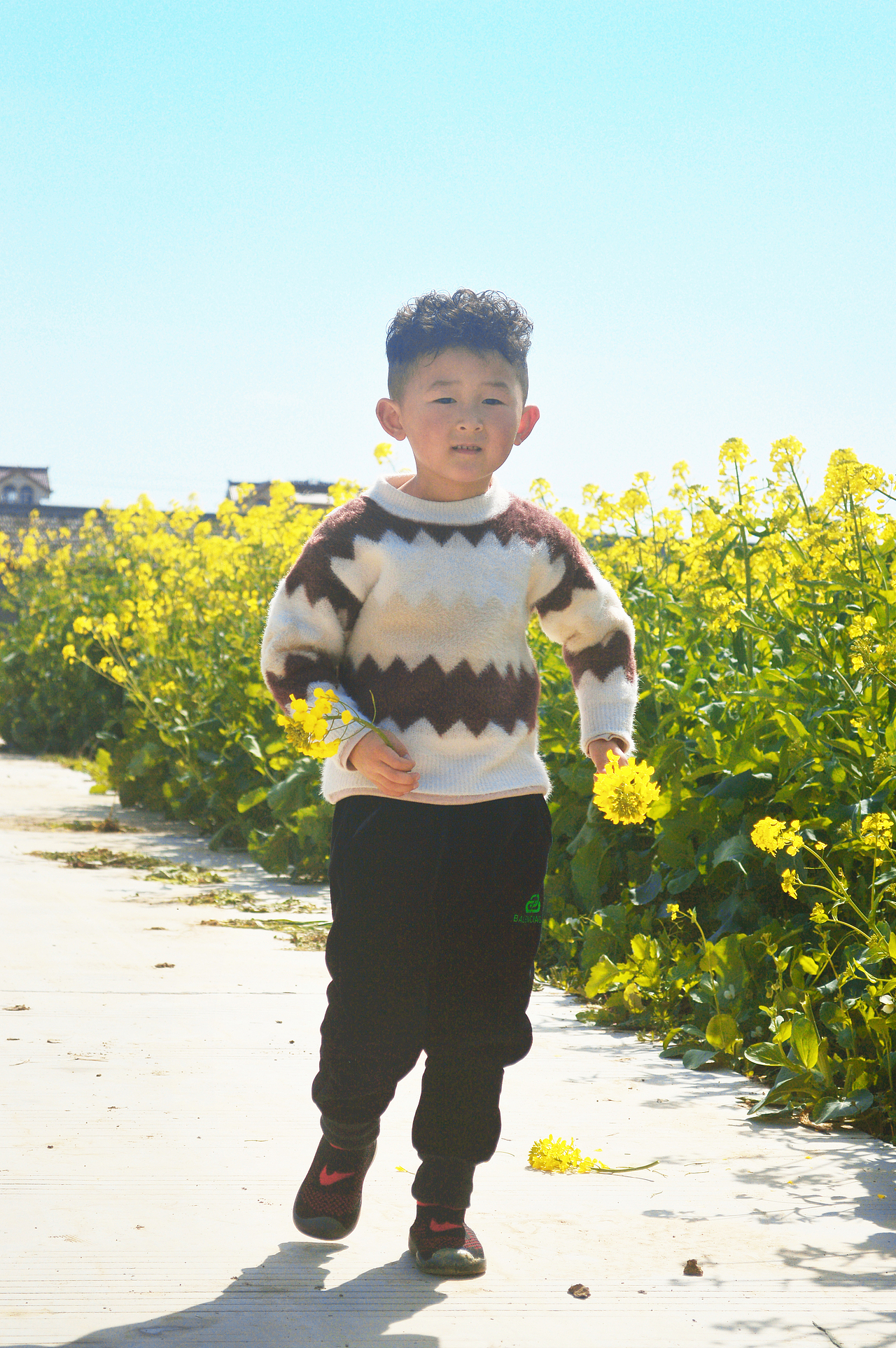 油菜花的季节+1