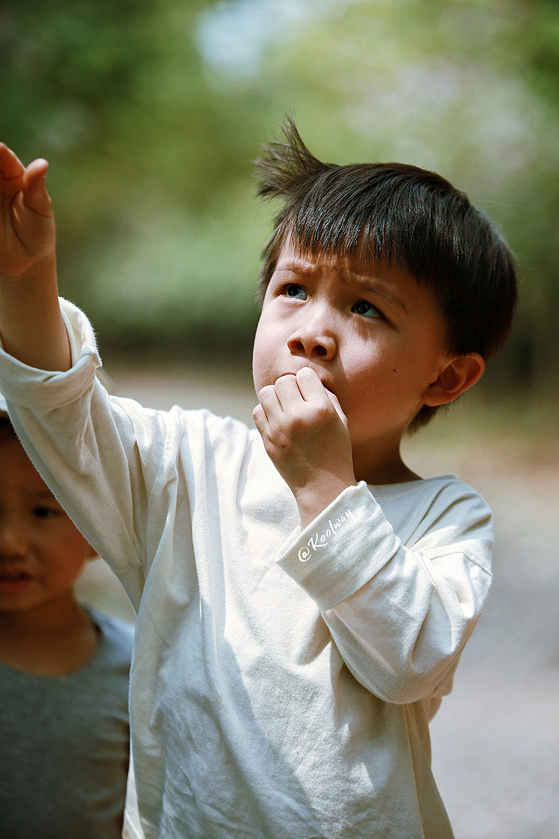 一起唤醒这片大地