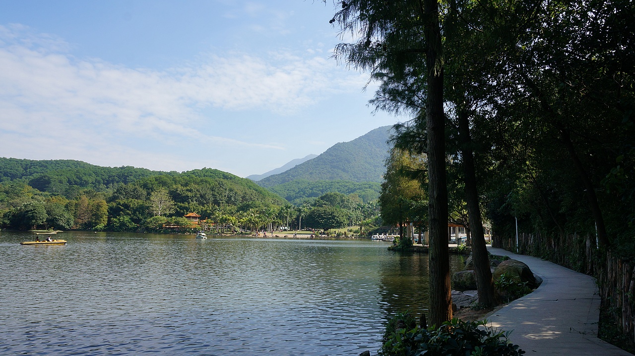 周末游玩罗湖仙湖植物园