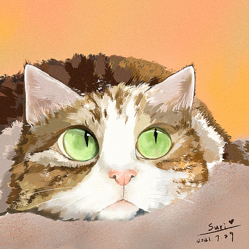 猫咪合集（图ZMjY1Mjc0OTUy） - 创作习作 - 站酷设计师Suri_yan原创素材 - 站酷ZCOOL