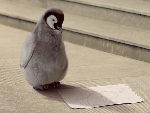 企鵝號品牌廣告——讓世界看到你（個人主頁-ZMjgyNzgzMDQ=） - 宣傳片 - 站酷設(shè)計師青藤文化原創(chuàng)素材 - 站酷ZCOOL